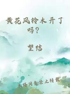 黄花风铃木开了吗？