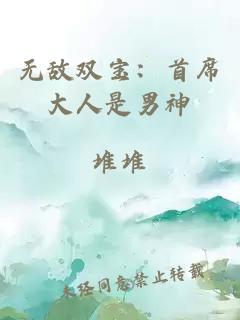 无敌双宝：首席大人是男神