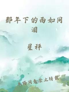 那年下的雨如同泪