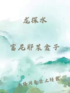 龙探水