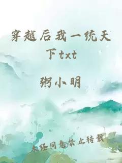 穿越后我一统天下txt