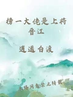 榜一大佬是上将晋江