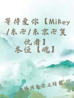 等待爱你【Mikey/东卍/东京卍复仇者】